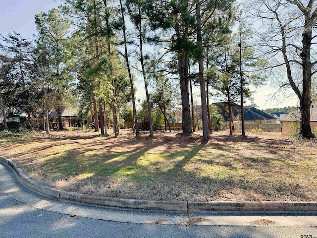 1226 Dreamcatcher, Tyler TX, 75703 land for sale