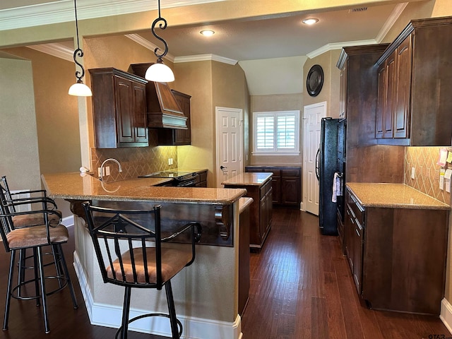 kitchen featuring premium range hood, dark brown cabinetry, a peninsula, and dark wood-type flooring