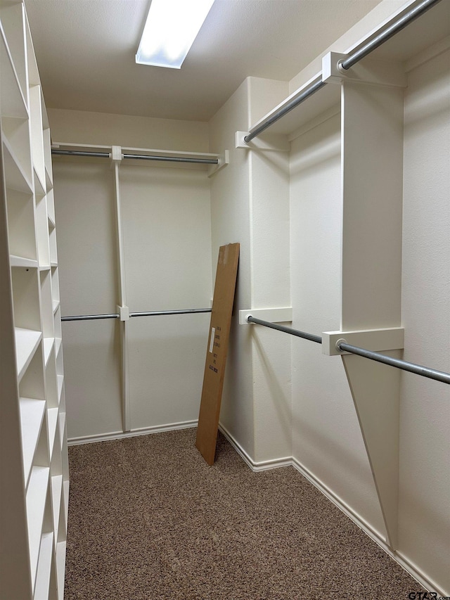 walk in closet with carpet