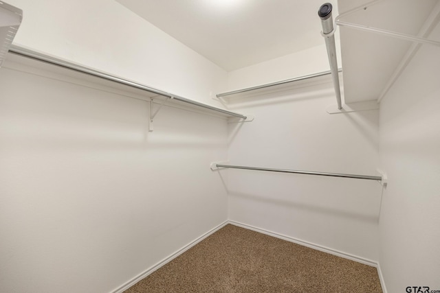 spacious closet with carpet floors