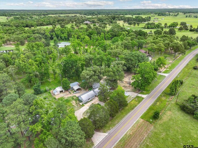 13386 Fm 858, Ben Wheeler, TX 75754 - aerial overview of property's location