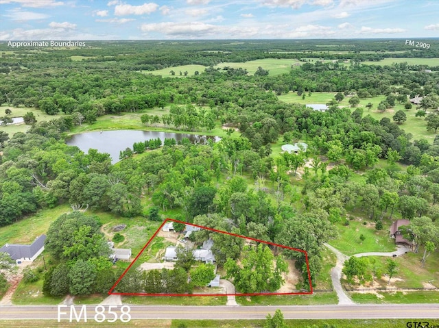 13386 Fm 858, Ben Wheeler, TX 75754 - aerial view of property and surrounding area featuring a large body of water, property boundaries highlighted, and a forest