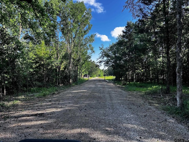 TRACTI/599 Private Road 8507, Van, TX 75790
