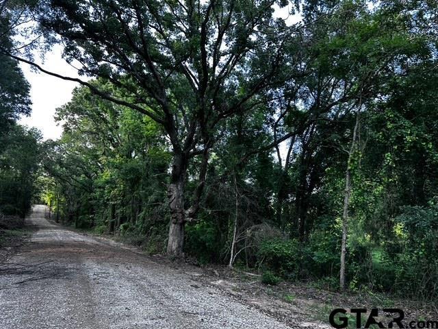 TRACTI/599 Private Road 8507, Van, TX 75790
