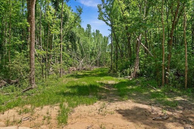 TRACTI/599 Private Road 8507, Van, TX 75790