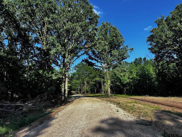 TRACTI/599 Private Road 8507, Van, TX 75790