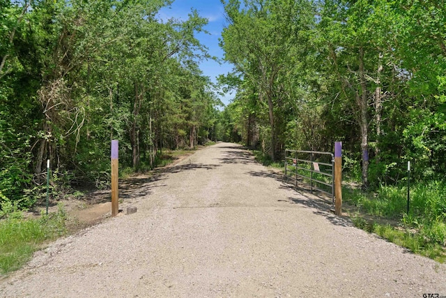 TRACTI/599 Private Road 8507, Van, TX 75790