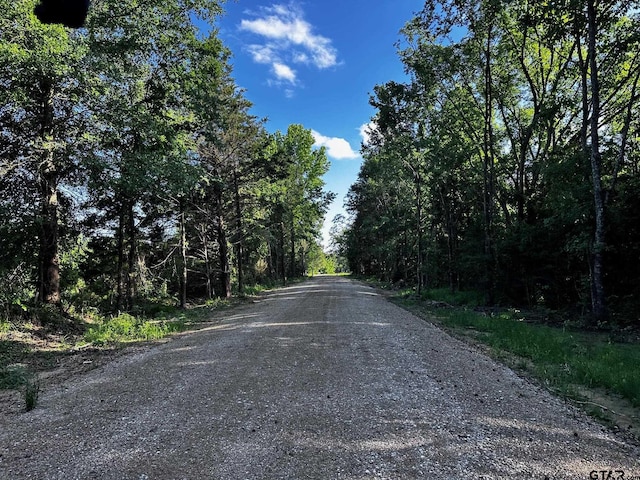 TRACTI/599 Private Road 8507, Van, TX 75790