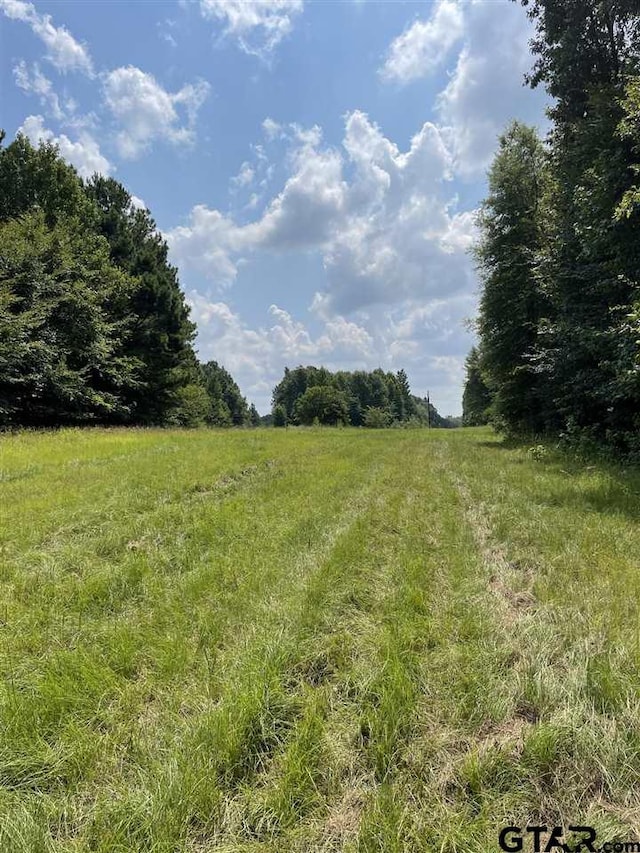 000 Locker Plant Rd, Gladewater, TX 75647 - photo 4