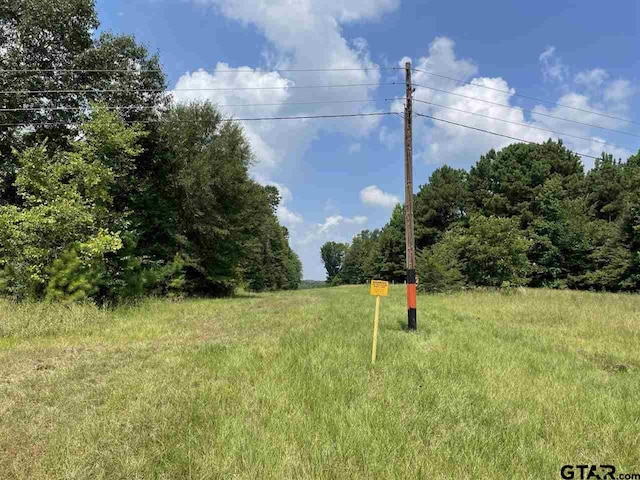 000 Locker Plant Rd, Gladewater, TX 75647 - photo 3