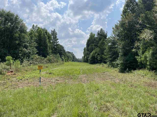 000 Locker Plant Rd, Gladewater, TX 75647 - photo 2