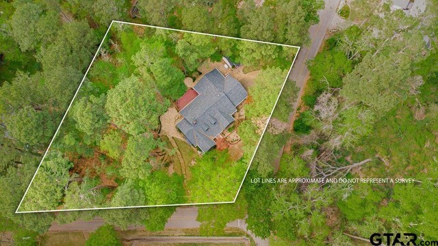 bird's eye view