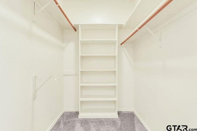 walk in closet with carpet flooring