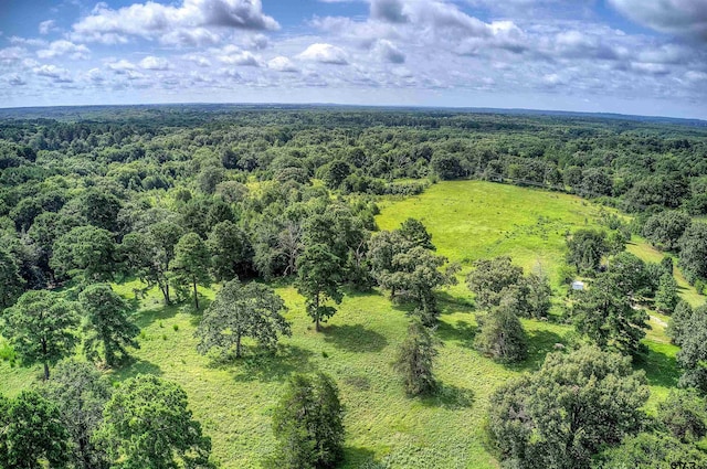 000 Fm 778, Quitman, TX 75783 - photo 21