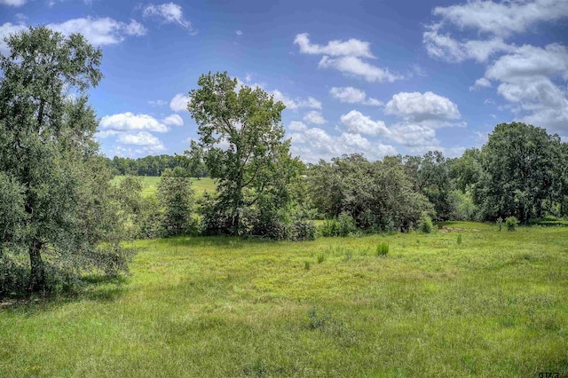 000 Fm 778, Quitman, TX 75783 - photo 34