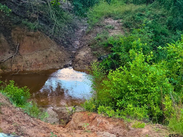 000 Fm 778, Quitman, TX 75783 - photo 26