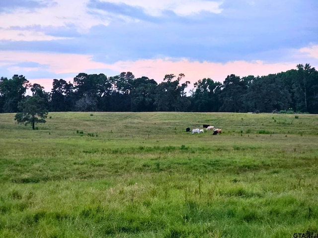 000 Fm 778, Quitman, TX 75783 - photo 7