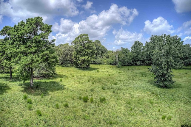 000 Fm 778, Quitman, TX 75783 - photo 32