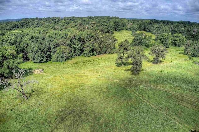 000 Fm 778, Quitman, TX 75783 - photo 13