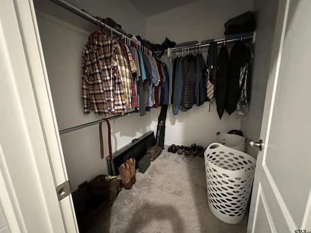 spacious closet featuring carpet floors