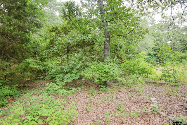 view of nature featuring a view of trees