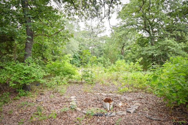 view of local wilderness