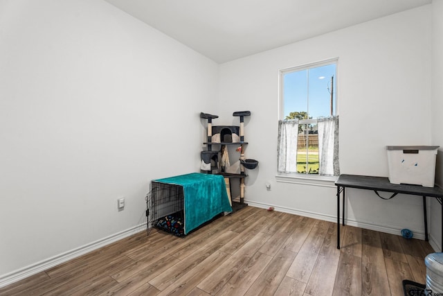 miscellaneous room with wood-type flooring