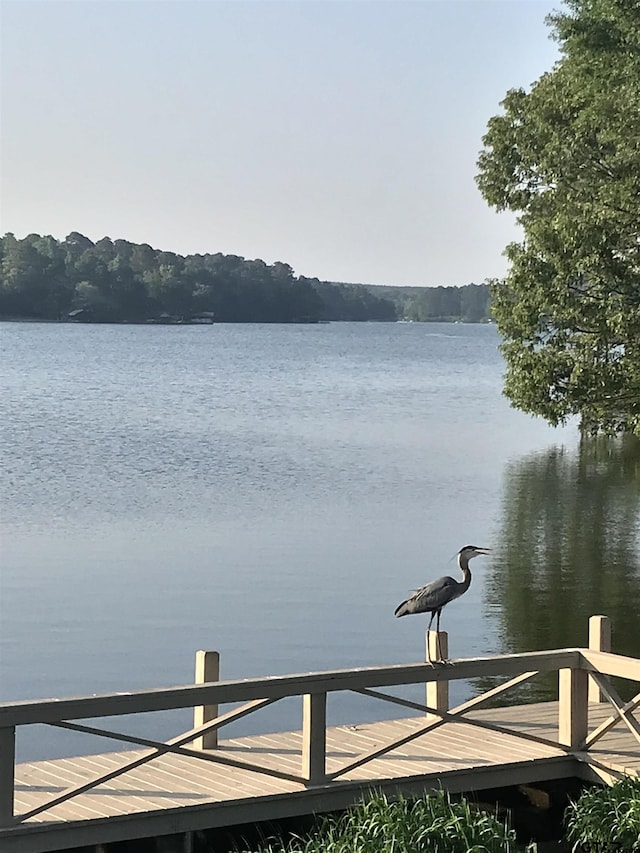 944 Clear Water Trl, Holly Lake Ranch, TX 75765 - water view