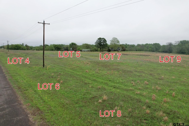 LOT8 County Road 4287, Winnsboro, TX 75494