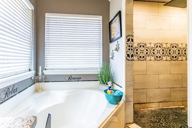 bathroom featuring a washtub and a wealth of natural light