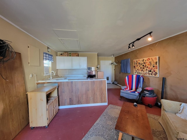 kitchen with sink, track lighting, and crown molding