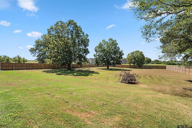 view of yard