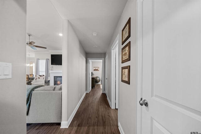 409 Meadow Ln, Chandler, TX 75758 - hall with dark wood-style flooring and baseboards