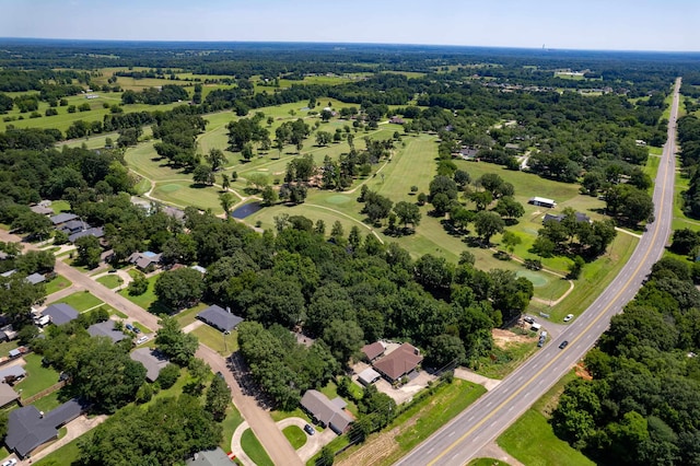 bird's eye view