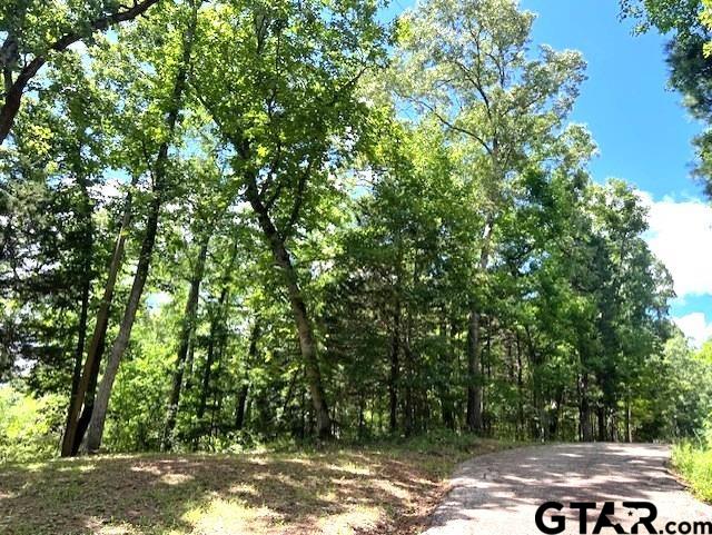 74 Caddo Dr, Elkhart, TX 75839 - photo 12
