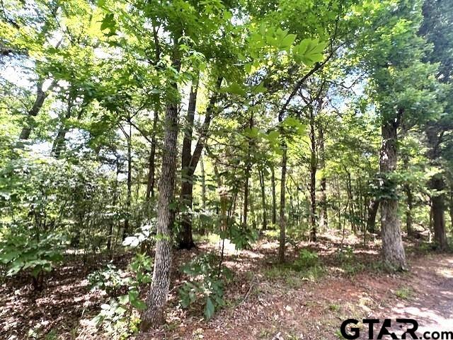 74 Caddo Dr, Elkhart, TX 75839 - photo 18