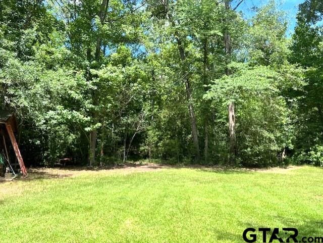 74 Caddo Dr, Elkhart, TX 75839 - photo 7