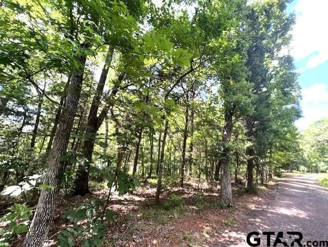 74 Caddo Dr, Elkhart, TX 75839 - photo 19