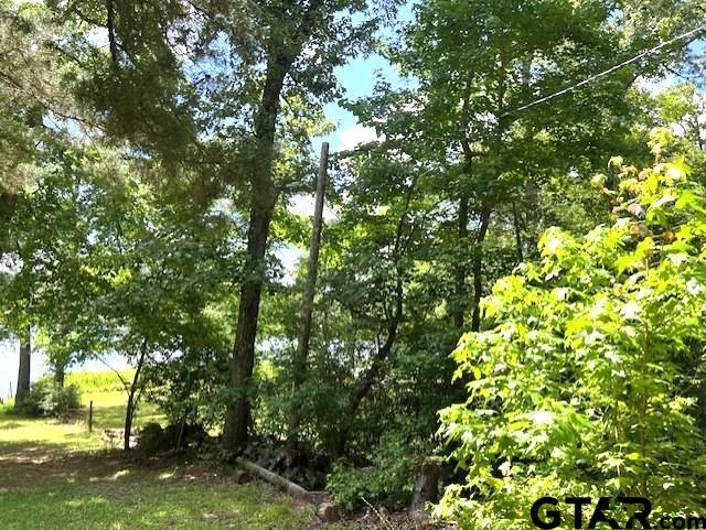 74 Caddo Dr, Elkhart, TX 75839 - photo 15