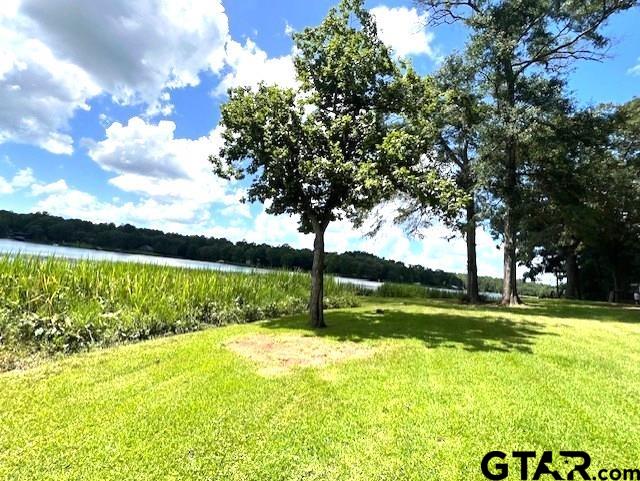 74 Caddo Dr, Elkhart, TX 75839 - photo 5