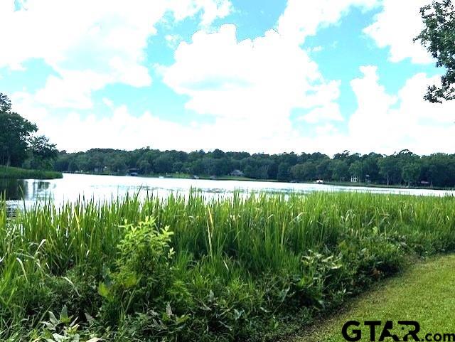 74 Caddo Dr, Elkhart, TX 75839 - photo 3