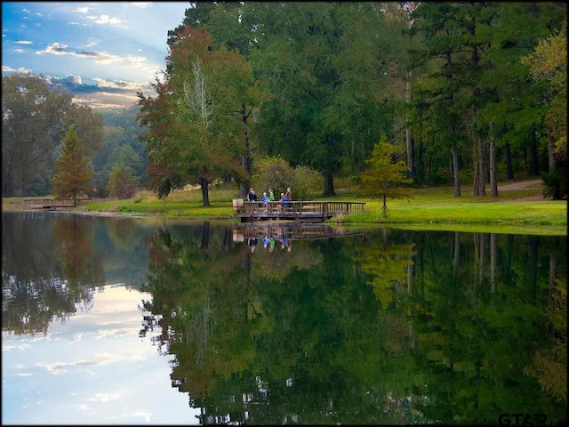 property view of water