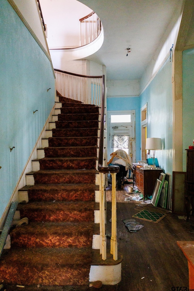 stairway with wood-type flooring