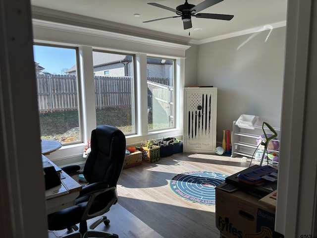 office area featuring a ceiling fan, wood finished floors, and crown molding