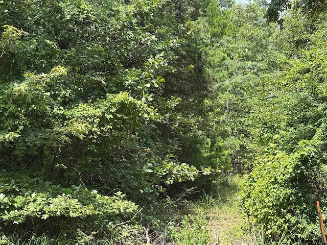 4453 Fm 49, Mineola, TX 75773 - photo 8