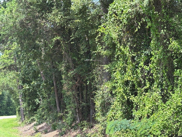4453 Fm 49, Mineola, TX 75773 - photo 2