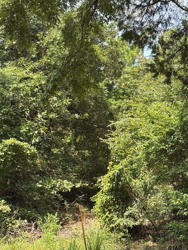4453 Fm 49, Mineola, TX 75773 - photo 4