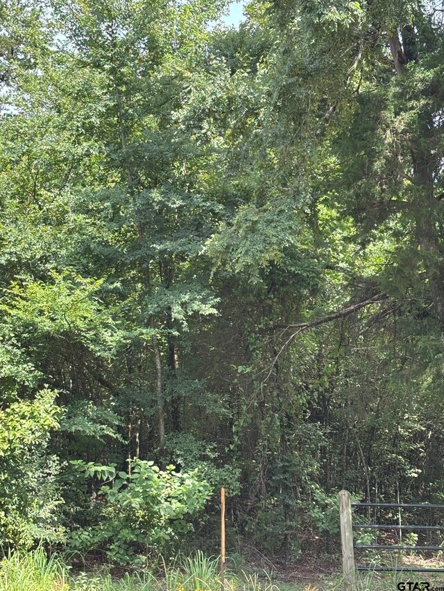 4453 Fm 49, Mineola, TX 75773 - photo 5