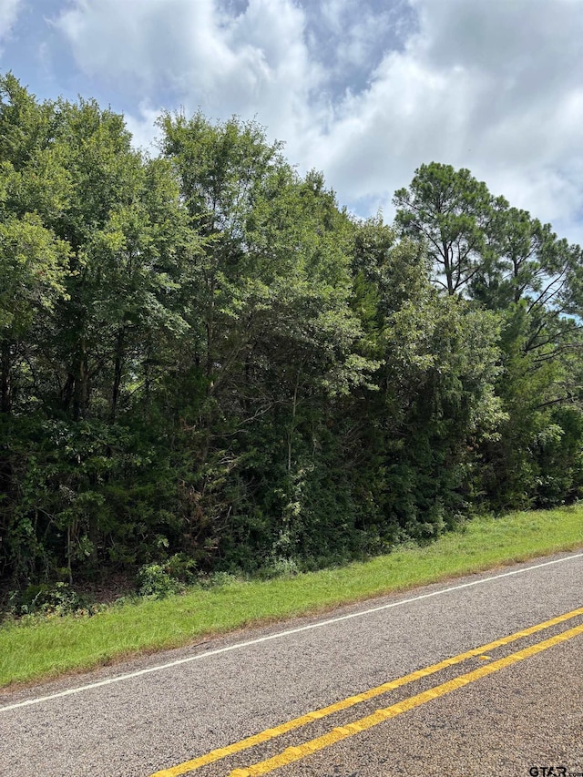 4453 Fm 49, Mineola, TX 75773 - photo 12