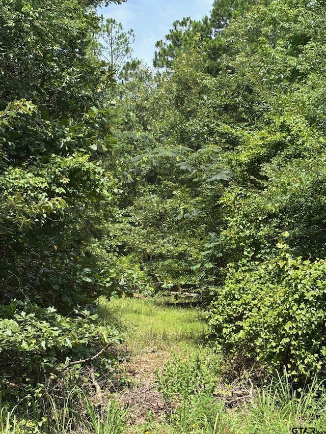 4453 Fm 49, Mineola, TX 75773 - photo 3